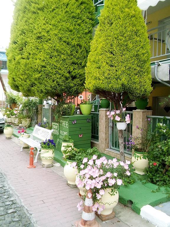 House Stella Tasos Apartment Sarti Ngoại thất bức ảnh