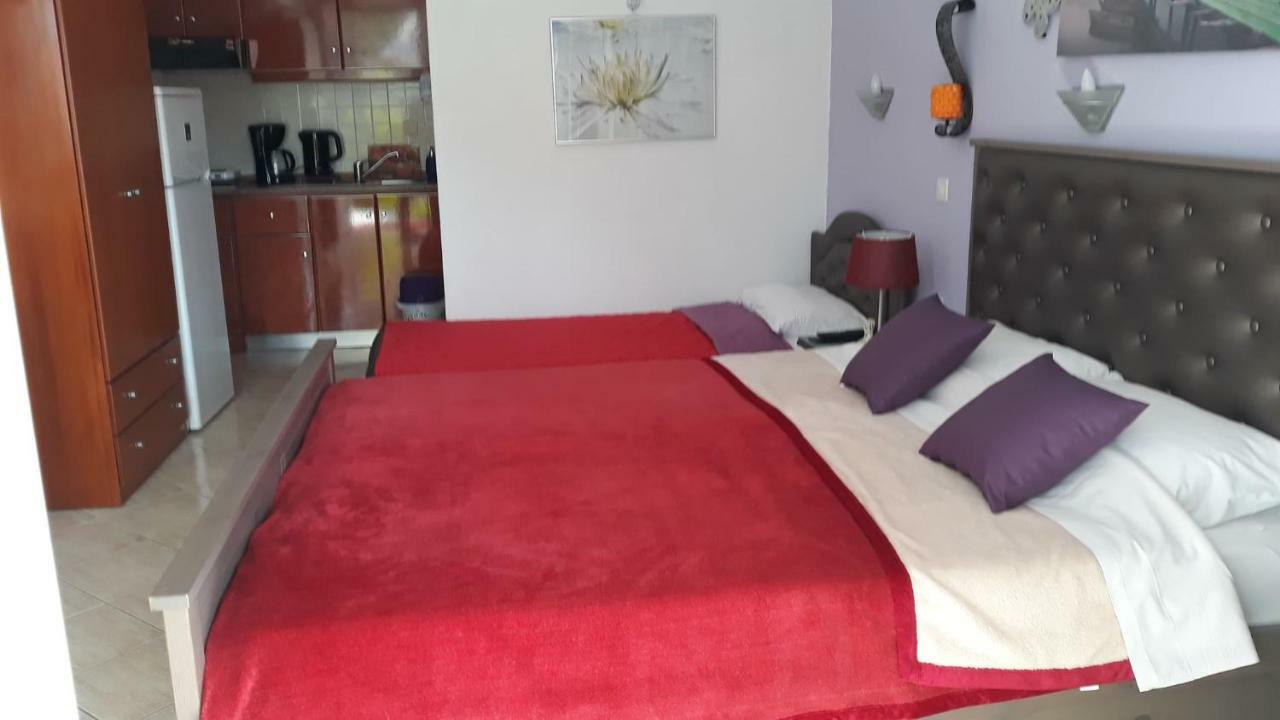 House Stella Tasos Apartment Sarti Ngoại thất bức ảnh